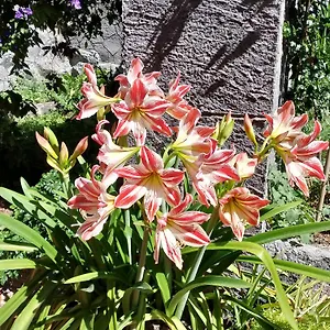Casa Romeo Hébergement de vacances